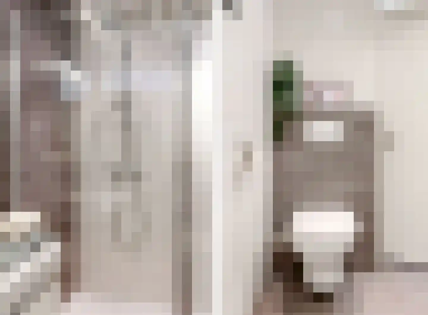 Taagdreef 21 Utrecht thumbnail 21