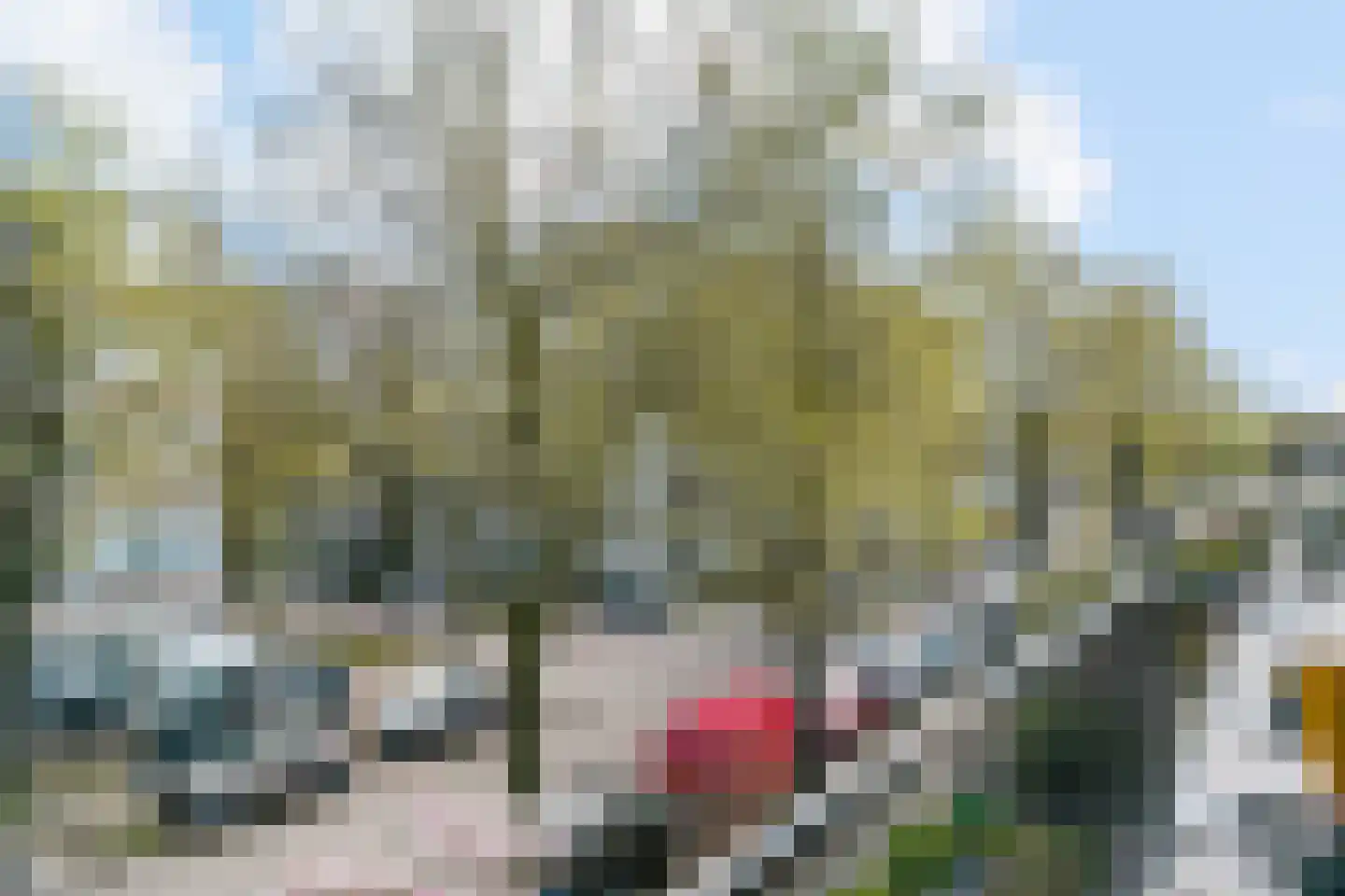 Taagdreef 21 Utrecht thumbnail 35
