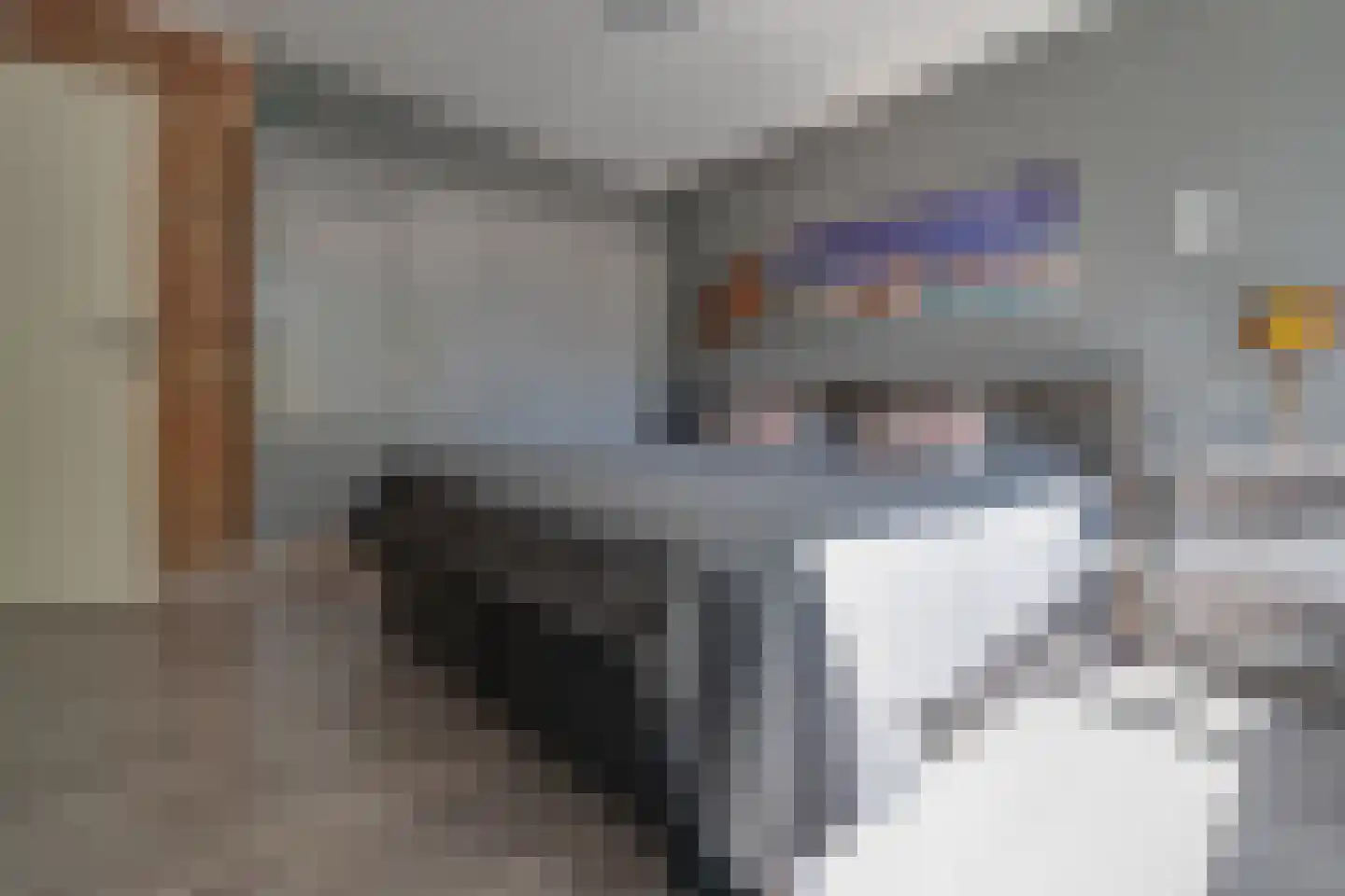 Taagdreef 29 Utrecht thumbnail 17