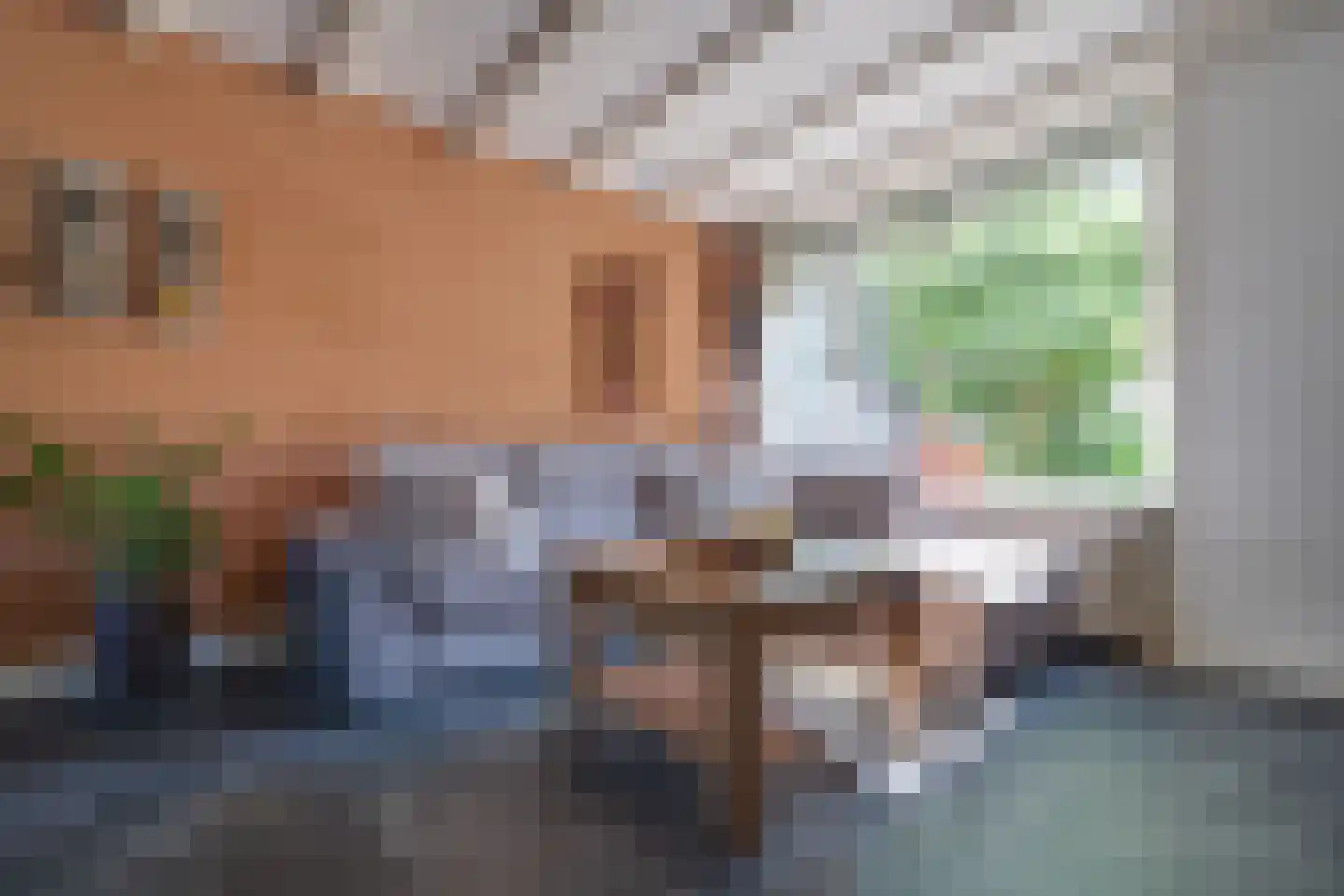 Taagdreef 29 Utrecht thumbnail 8