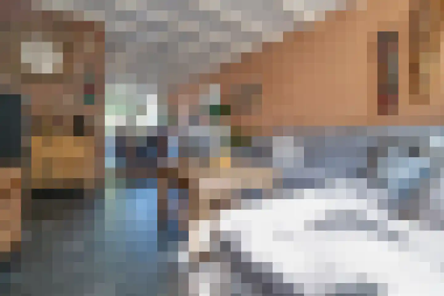 Taagdreef 29 Utrecht thumbnail 9