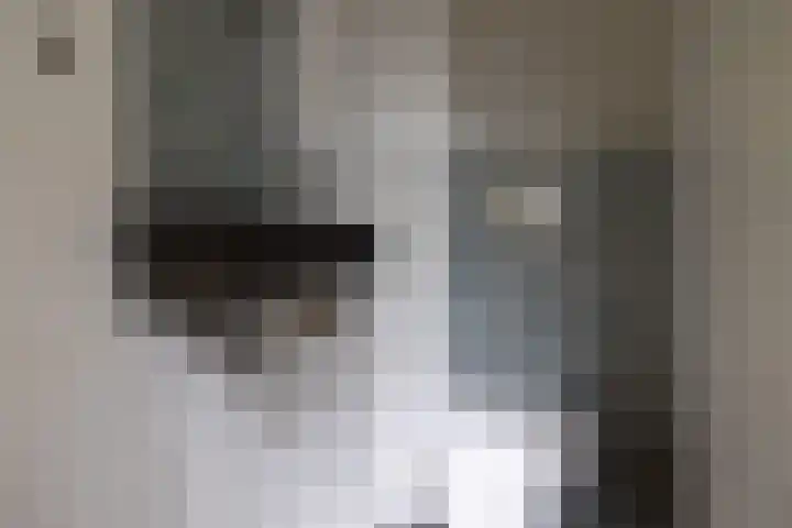 Taagdreef 39 Utrecht thumbnail 12