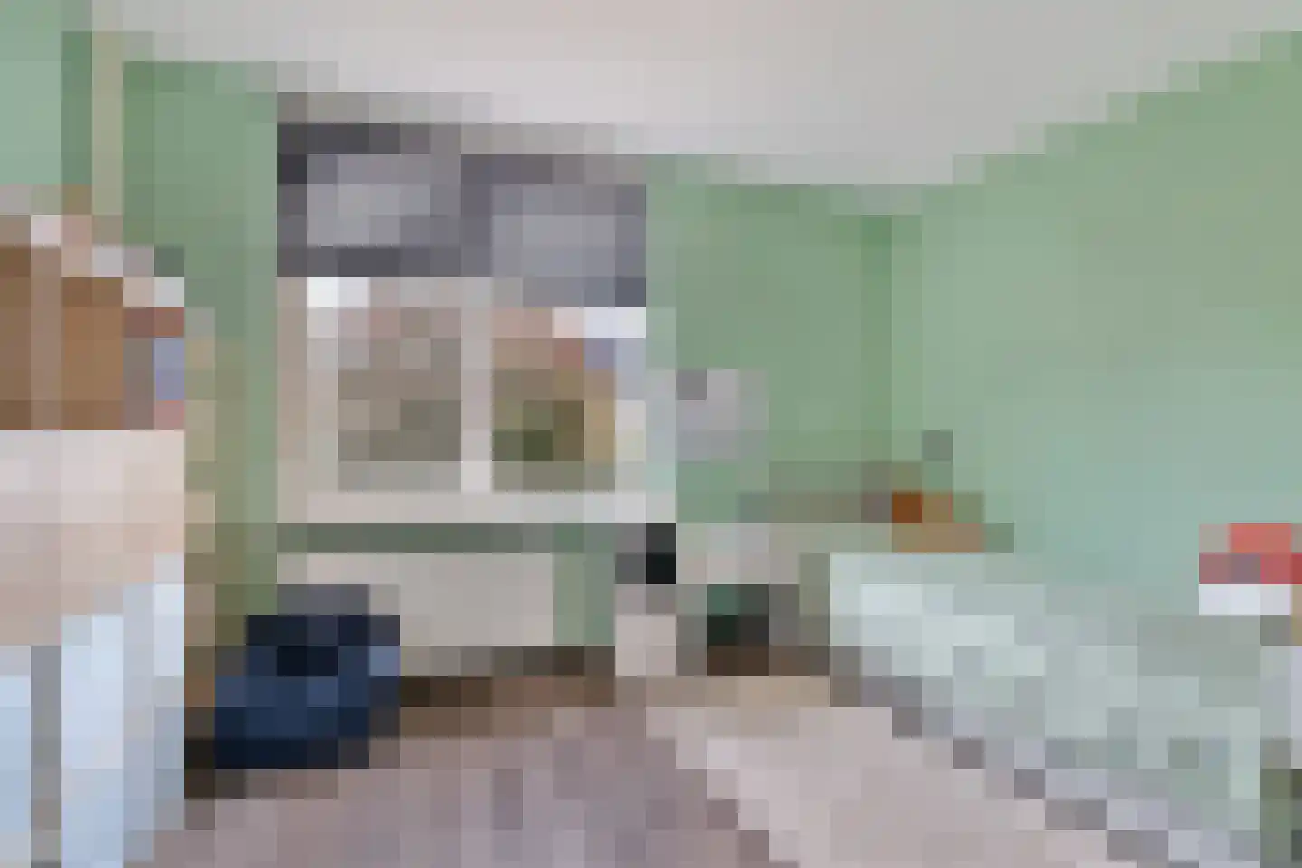 Taaghof 9 Veghel thumbnail 16