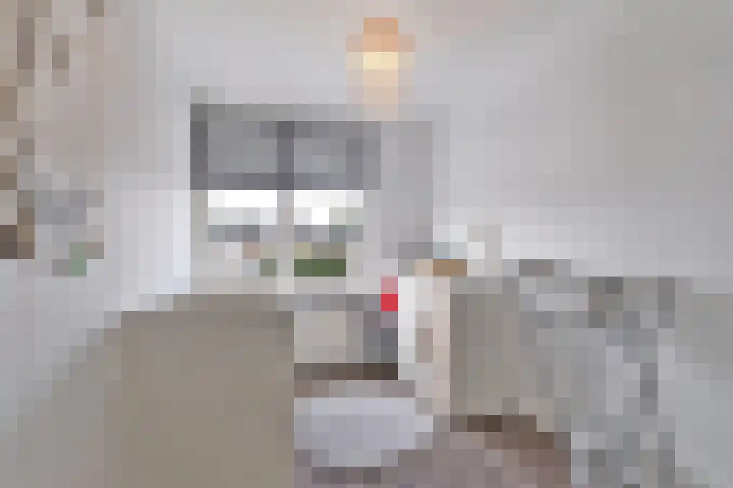 Taaghof 9 Veghel thumbnail 18