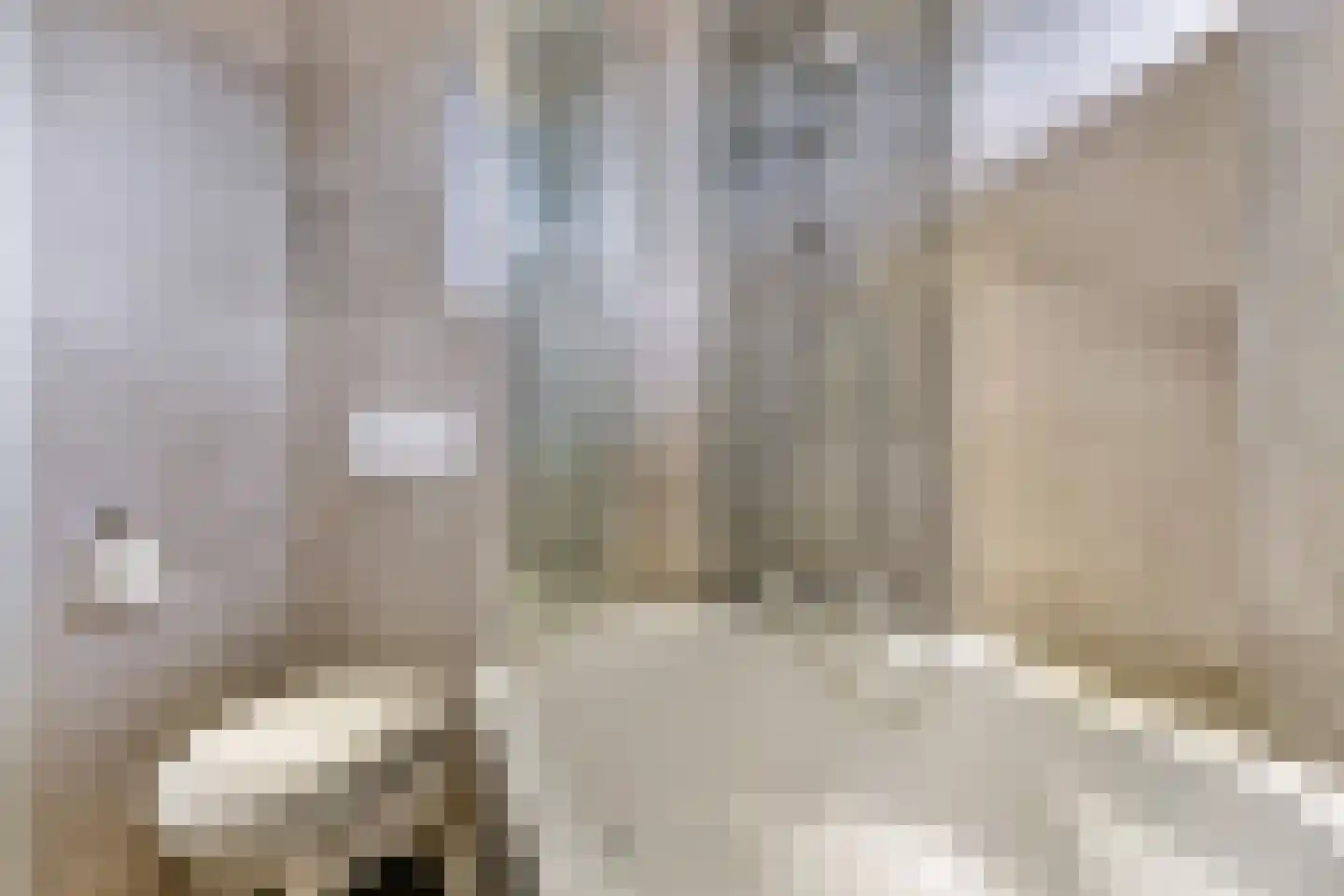 Taaghof 9 Veghel thumbnail 21