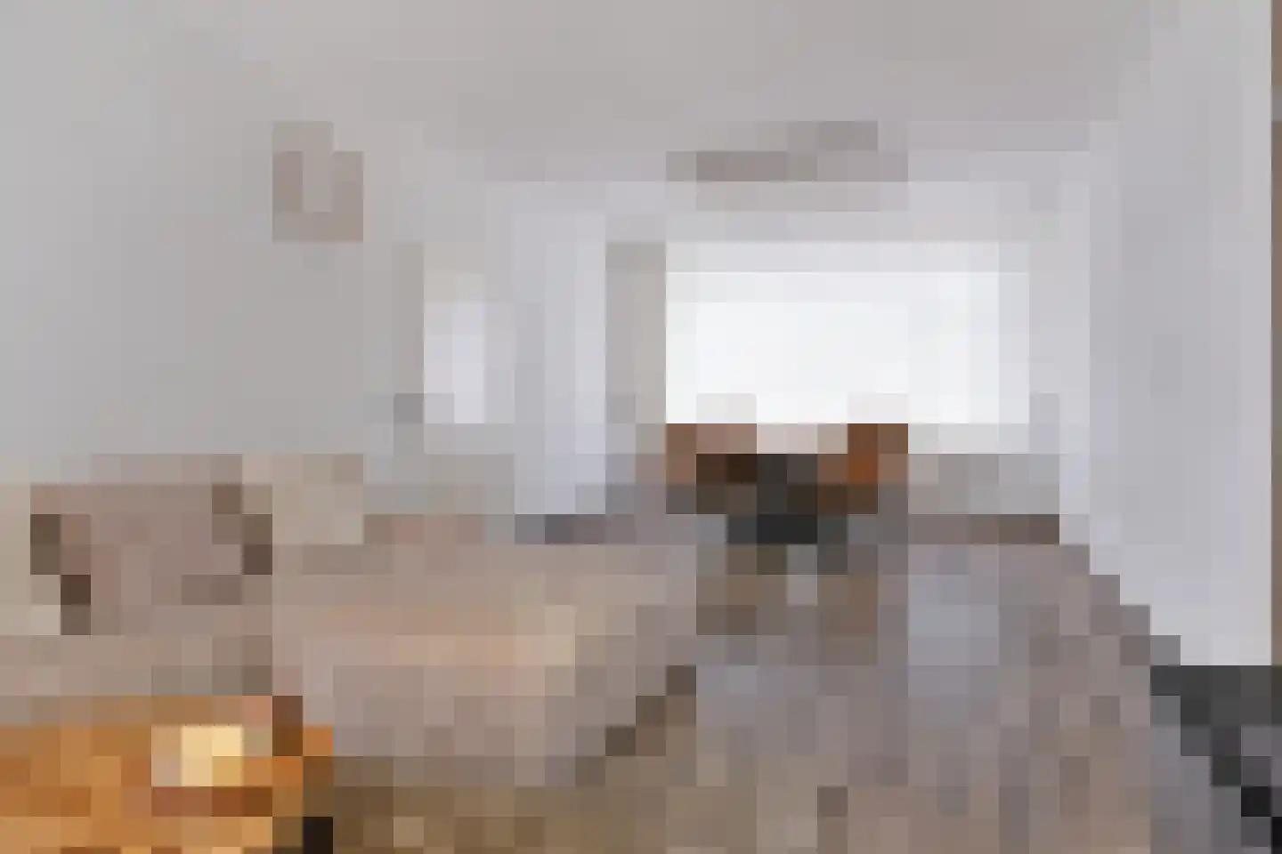 Taaghof 9 Veghel thumbnail 8