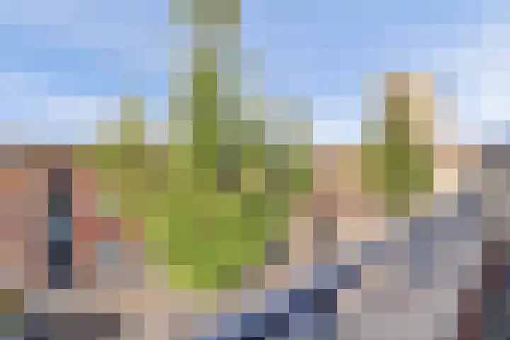 Taagstraat 4 Venlo thumbnail 18