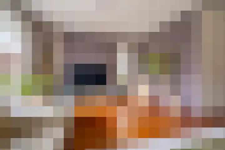 Taagstroom 16 Zoetermeer thumbnail 10