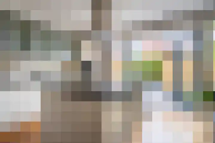 Taagstroom 16 Zoetermeer thumbnail 13