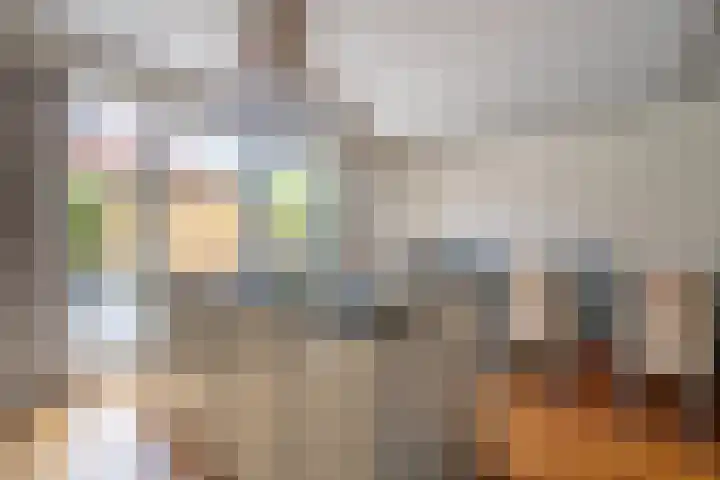 Taagstroom 16 Zoetermeer thumbnail 16