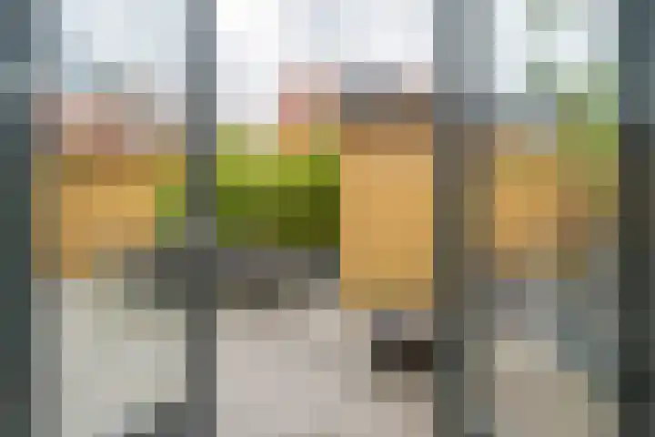 Taagstroom 16 Zoetermeer thumbnail 17