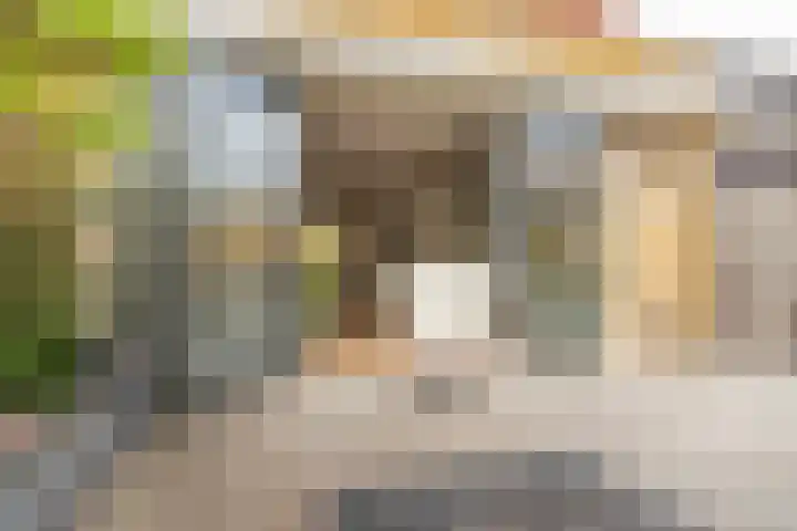 Taagstroom 16 Zoetermeer thumbnail 19