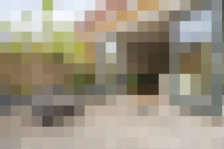 Taagstroom 16 Zoetermeer thumbnail 20