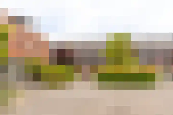 Taagstroom 16 Zoetermeer thumbnail 32