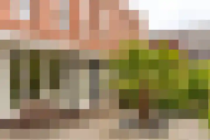 Taagstroom 16 Zoetermeer thumbnail 5