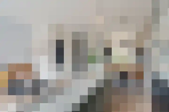 Taagstroom 7 Zoetermeer thumbnail 16