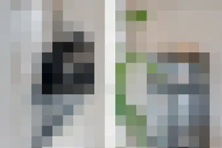 Taagstroom 7 Zoetermeer thumbnail 21