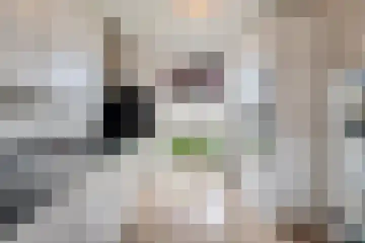 Taagstroom 7 Zoetermeer thumbnail 22