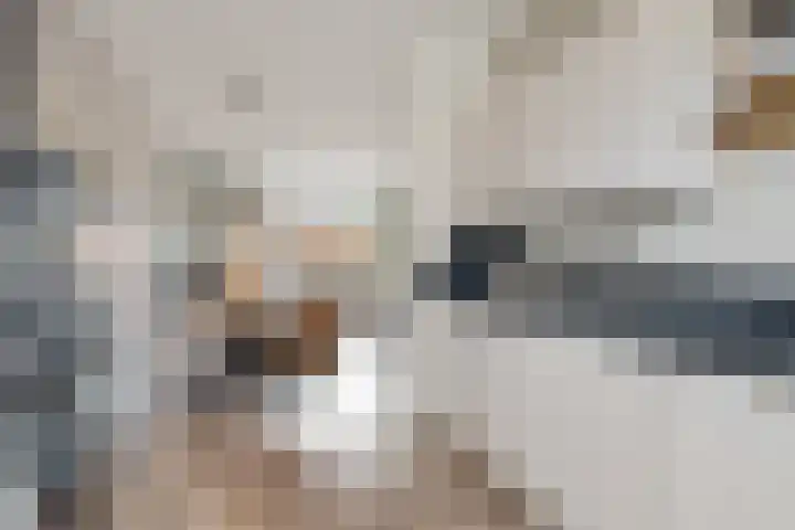 Taagstroom 7 Zoetermeer thumbnail 24