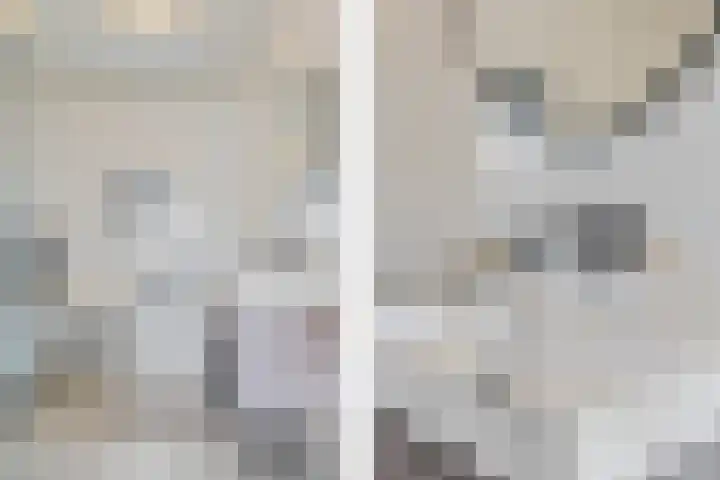 Taagstroom 7 Zoetermeer thumbnail 36