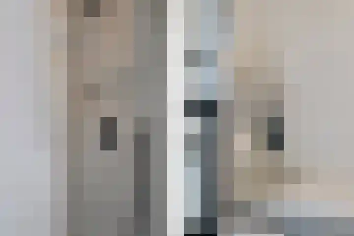 Taagstroom 7 Zoetermeer thumbnail 37