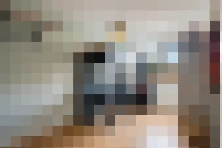 Taagstroom 7 Zoetermeer thumbnail 38