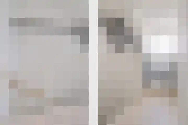 Taagstroom 7 Zoetermeer thumbnail 43