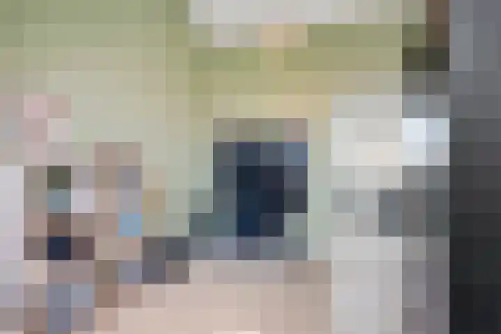 Taagstroom 7 Zoetermeer thumbnail 46