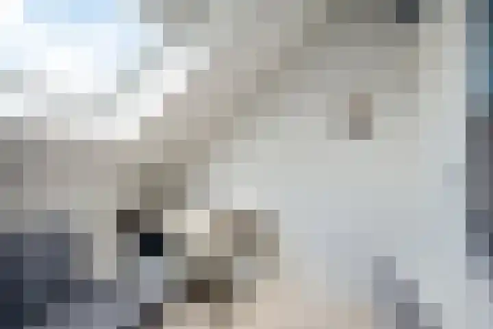 Taagstroom 7 Zoetermeer thumbnail 49