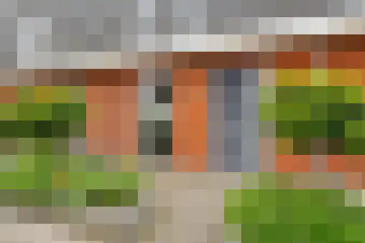 Taagstroom 7 Zoetermeer thumbnail 8