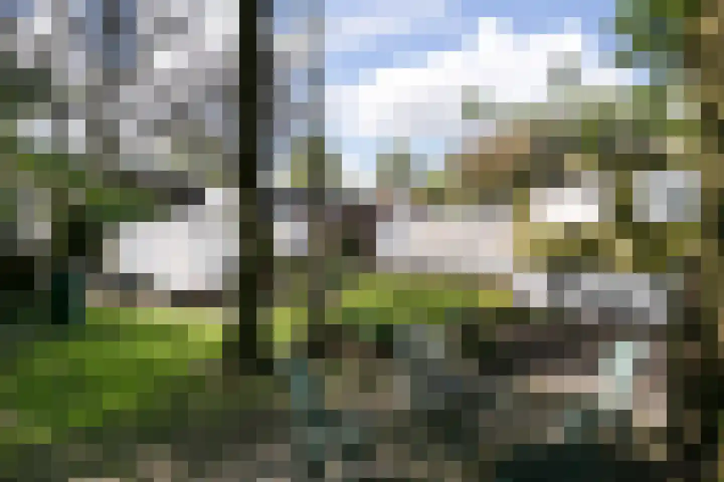 Taalstraat 115 Vught thumbnail 20