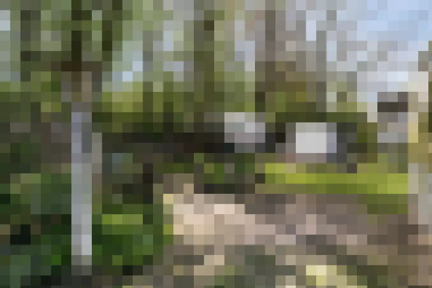 Taalstraat 115 Vught thumbnail 28