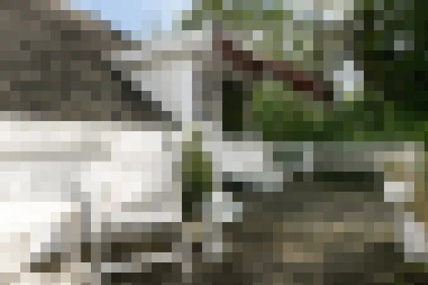 Taalstraat 115 Vught thumbnail 5