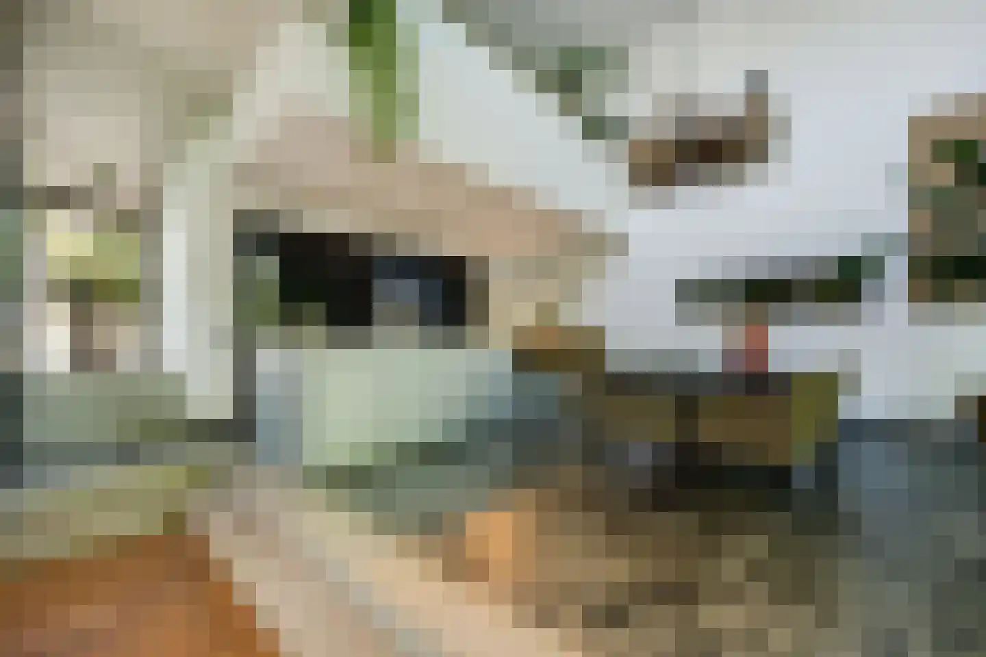 Taalstraat 139 Vught thumbnail 10