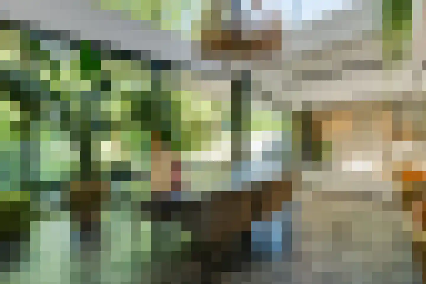 Taalstraat 139 Vught thumbnail 13