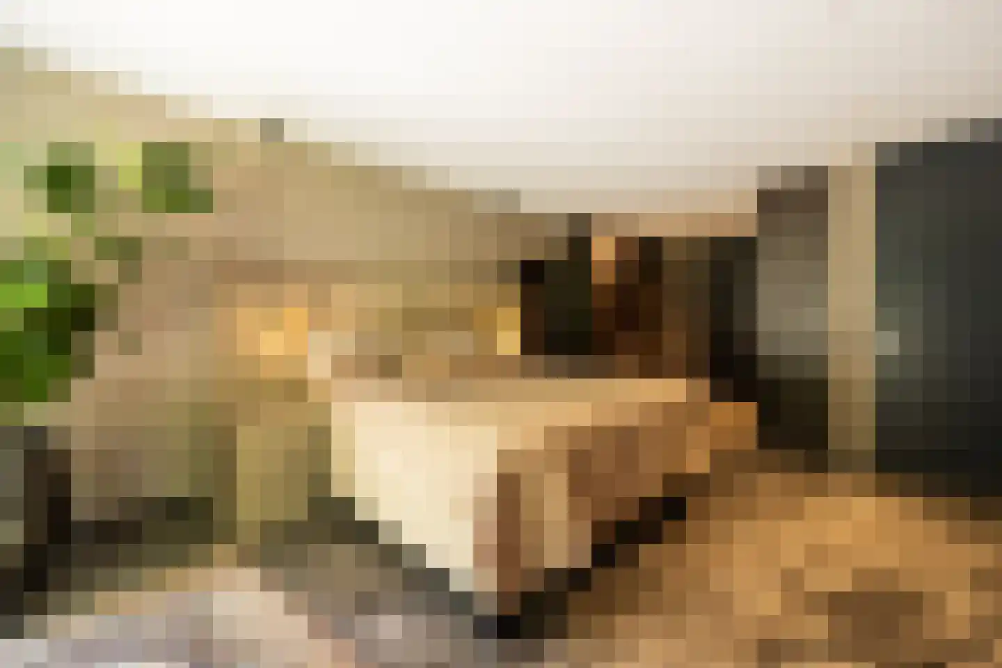 Taalstraat 139 Vught thumbnail 22