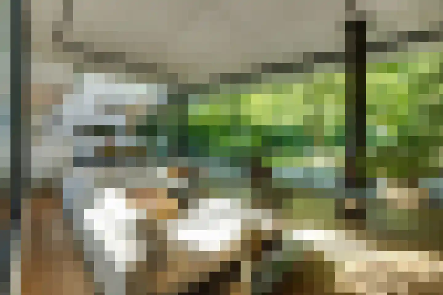 Taalstraat 139 Vught thumbnail 4