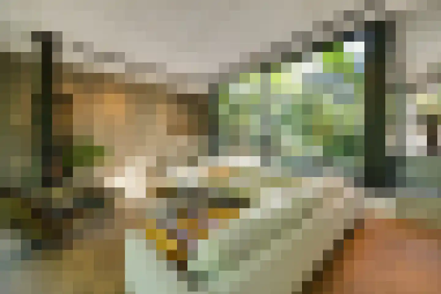 Taalstraat 139 Vught thumbnail 5