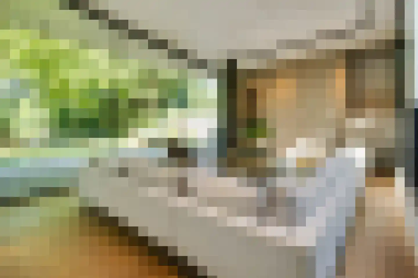 Taalstraat 139 Vught thumbnail 7