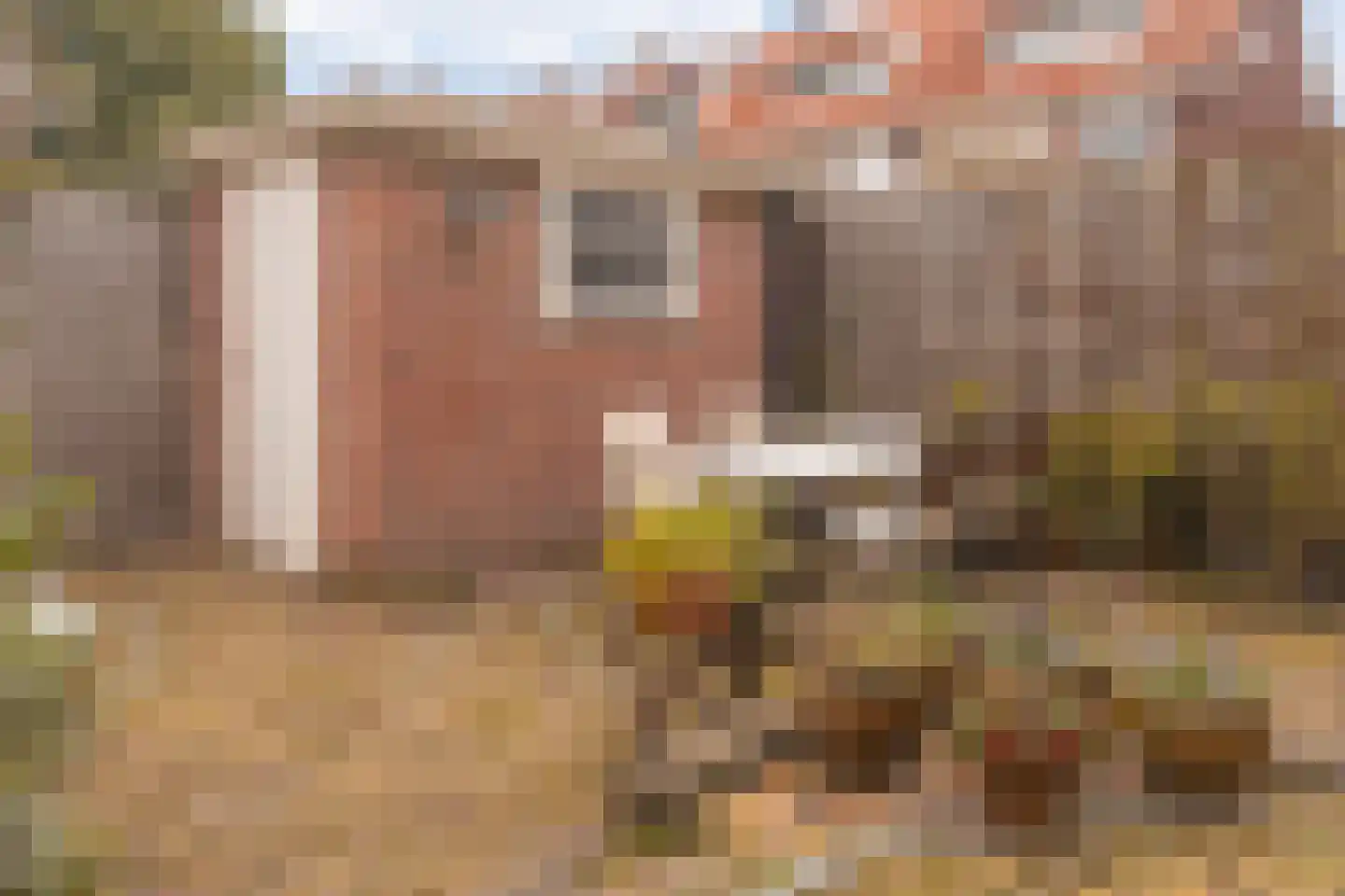 Taalstraat 183 Vught thumbnail 10