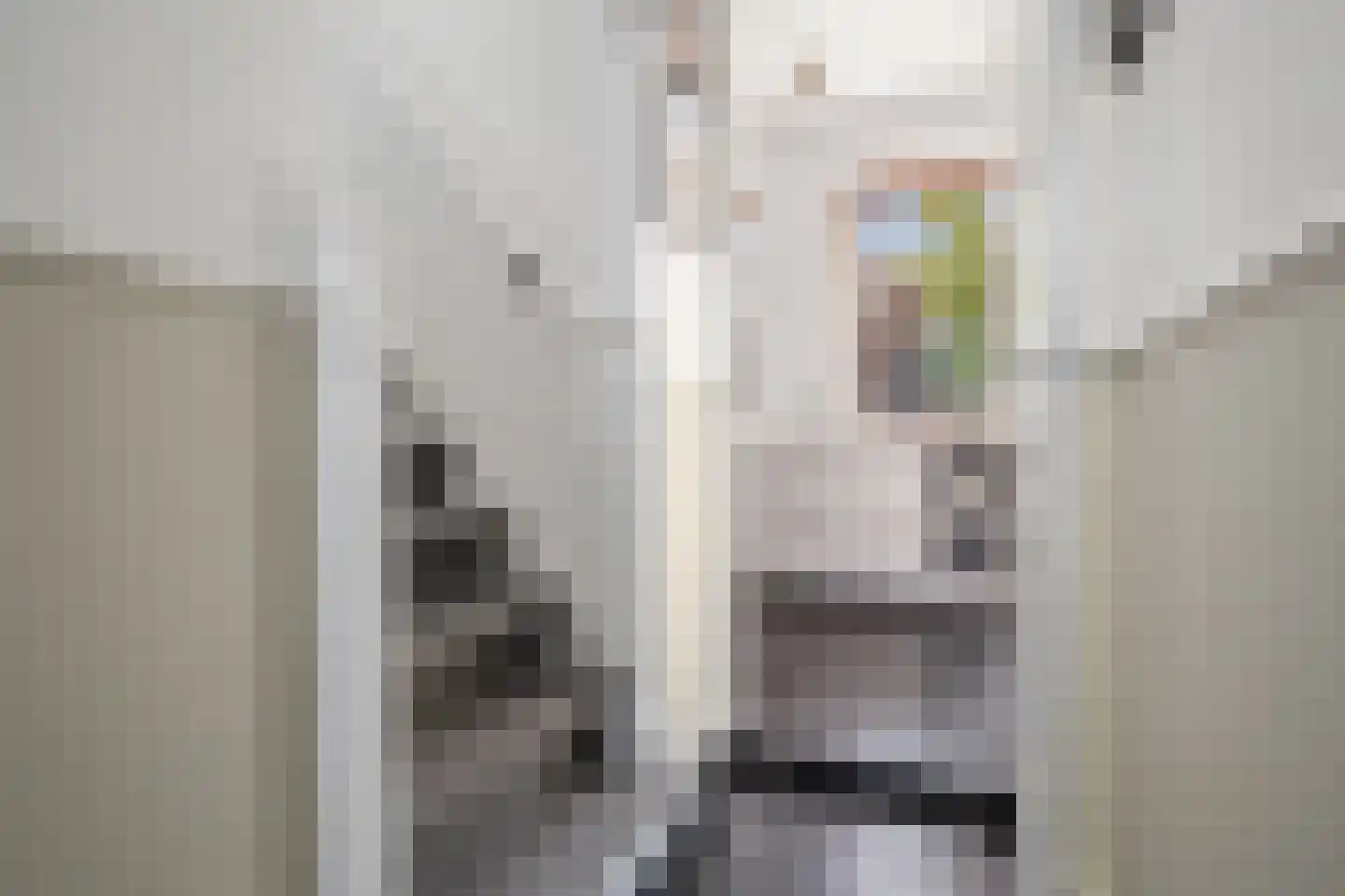 Taalstraat 213 Vught thumbnail 22