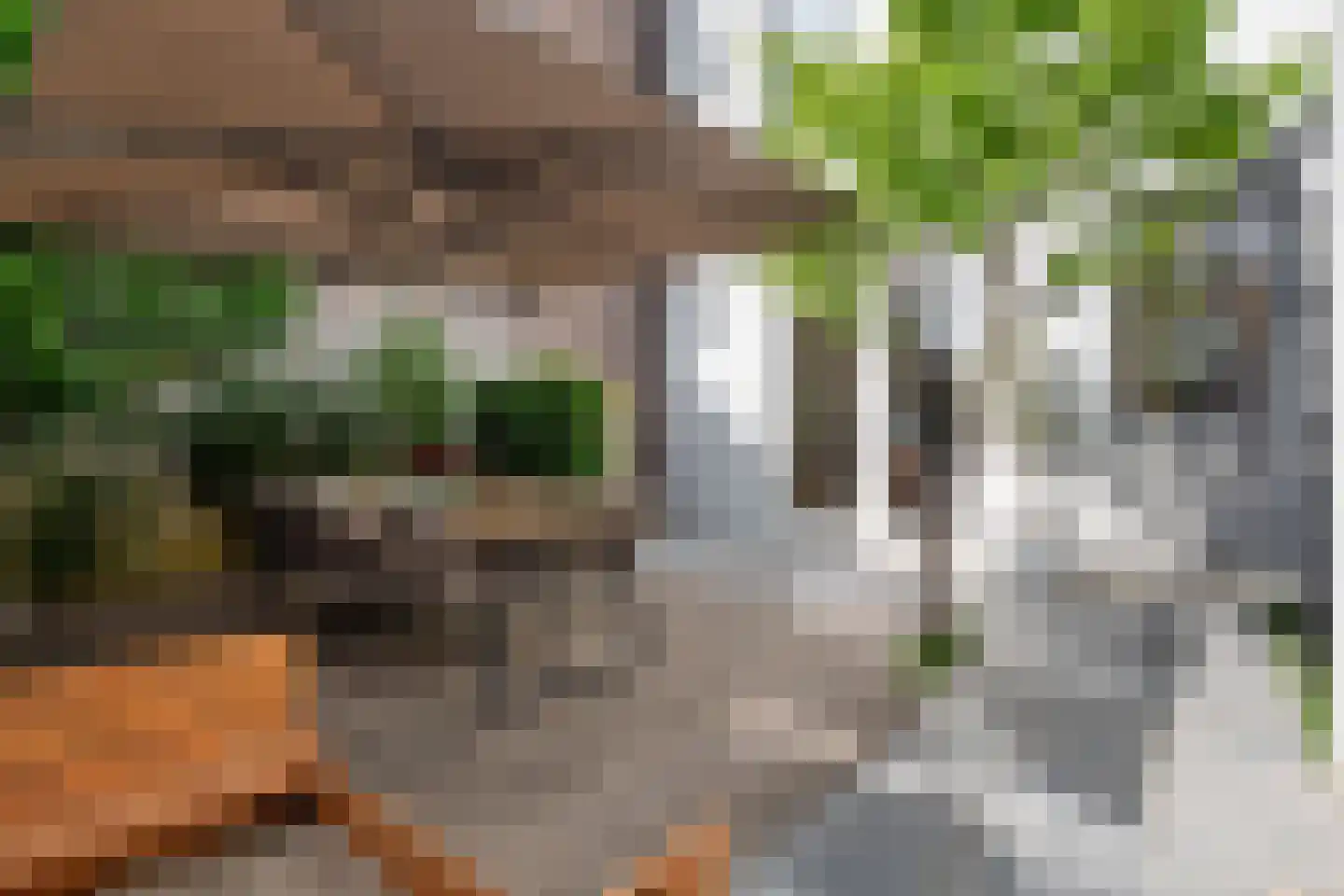 Taalstraat 213 Vught thumbnail 48