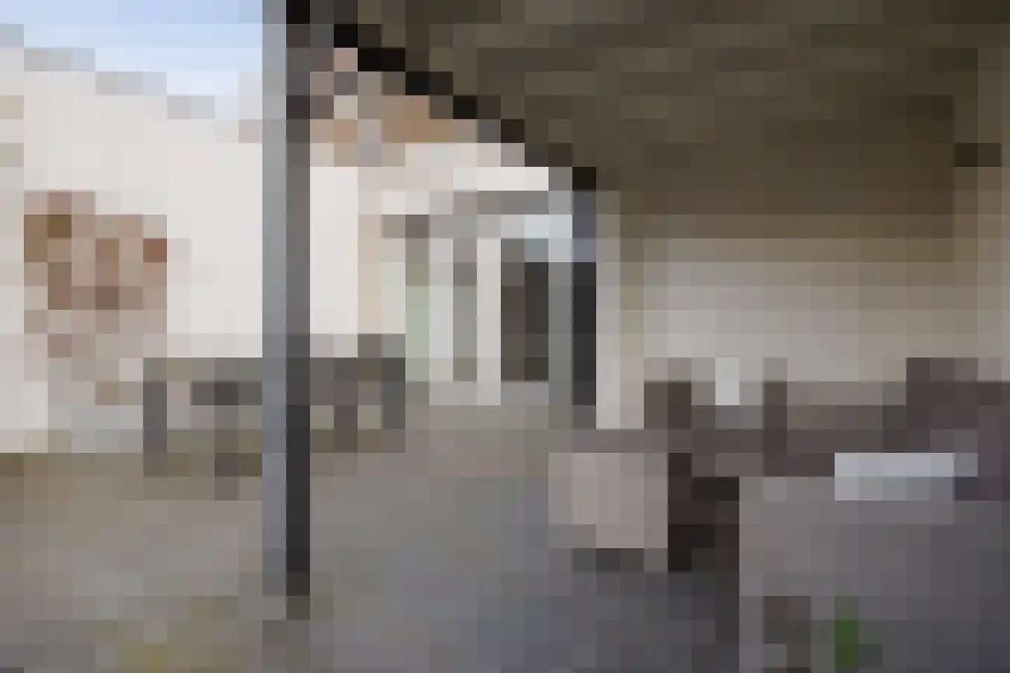 Taalstraat 37 Vught thumbnail 36