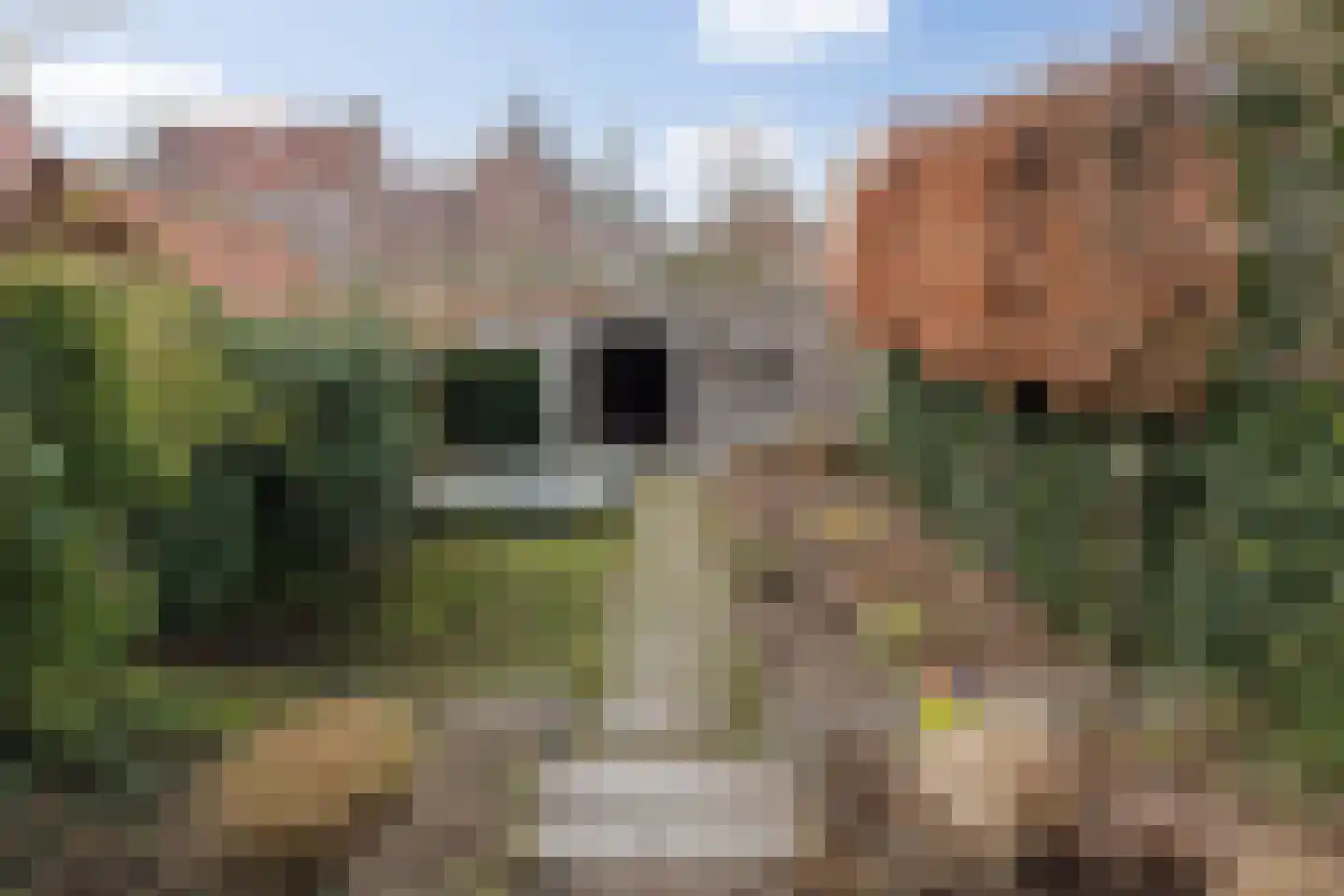 Taalstraat 37 Vught thumbnail 37