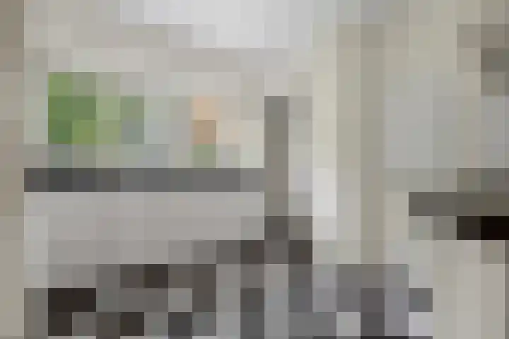 Taalstraat 66 B Vught thumbnail 12