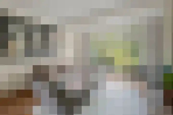 Taalstraat 66 B Vught thumbnail 5