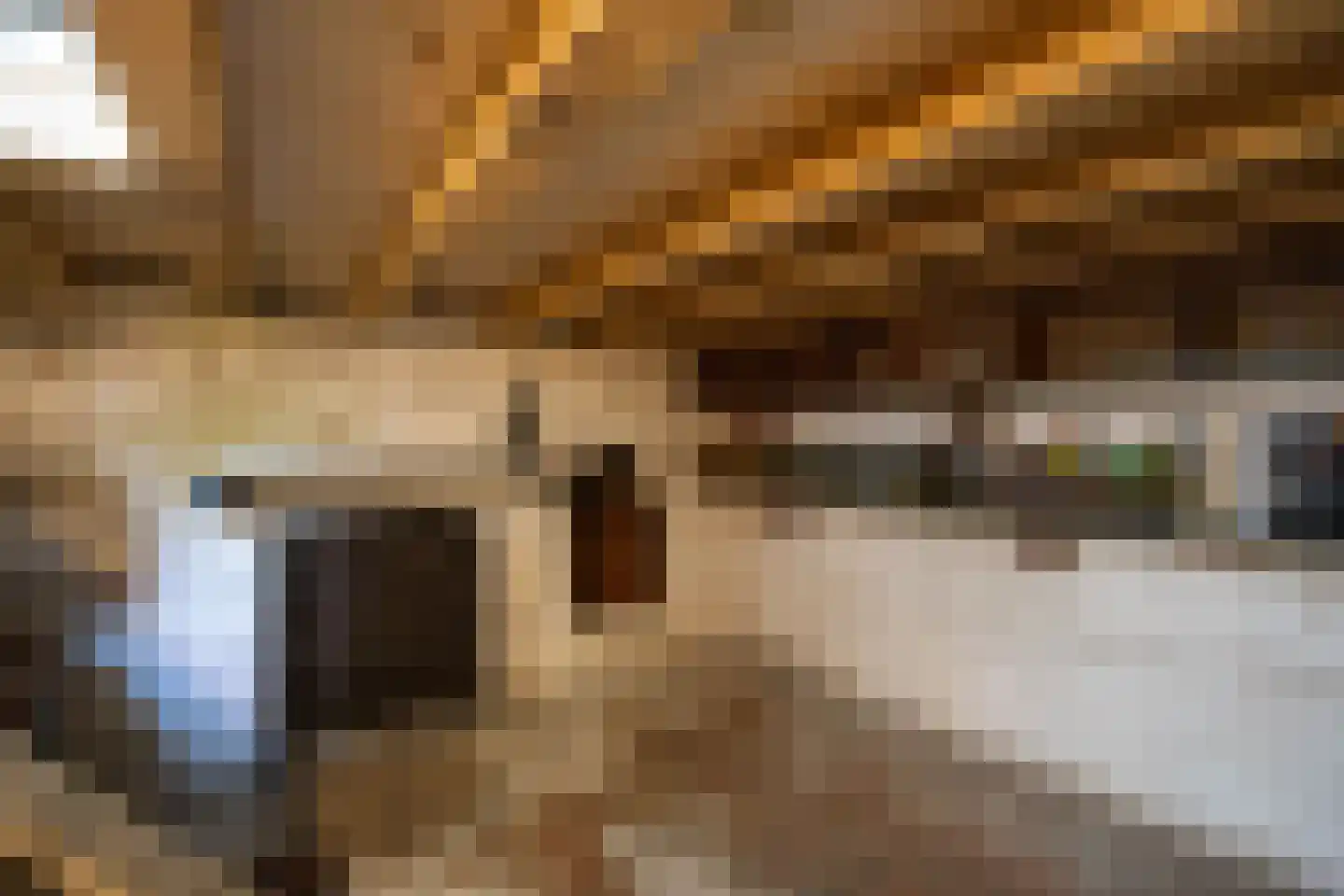 Taalstraat 90 Vught thumbnail 12
