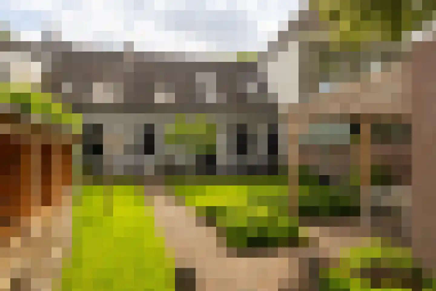 Taalstraat 90 Vught thumbnail 29