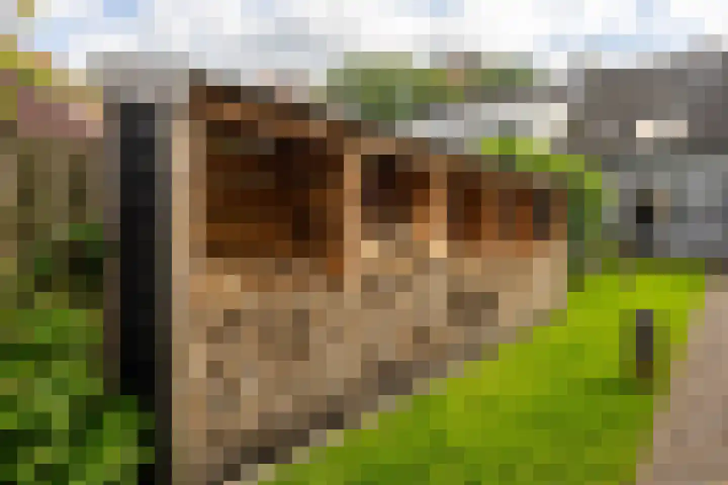 Taalstraat 90 Vught thumbnail 31