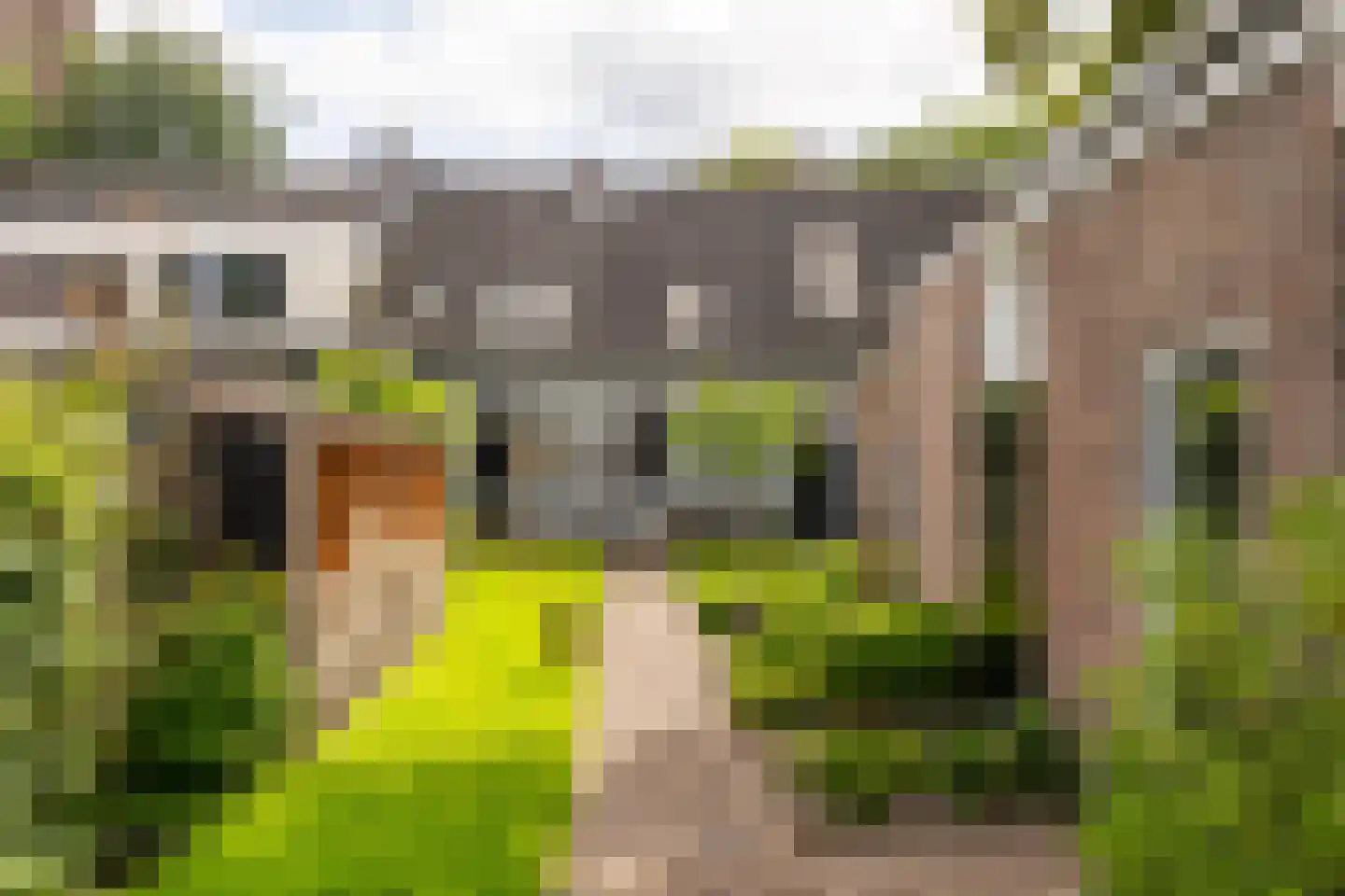 Taalstraat 90 Vught thumbnail 32